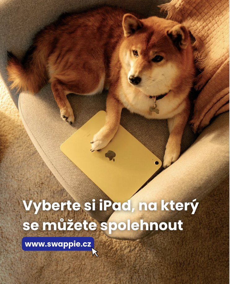Final slide se shibou